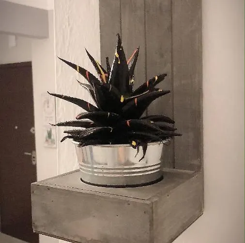 The