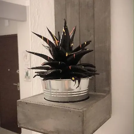 The